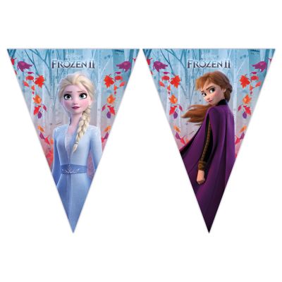 Frozen 2 Triangle Flag Banner - 1