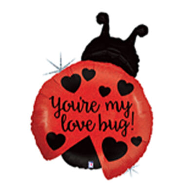 Go Love Bug Ladybug Holographic Grabo Folyo Balon 27