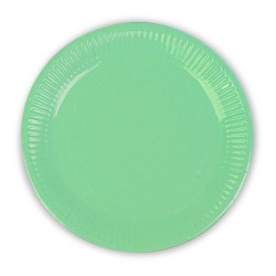 Green Pastel Paper Plates - Kikajoy