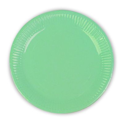 Green Pastel Paper Plates - 1