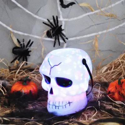 Skull Candy Bucket - 1