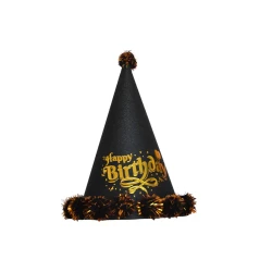 Birthday Party Hat 20 cm - 4