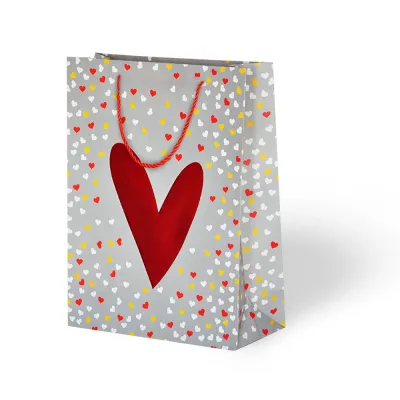 Heart Patterned Cardboard Bag - 3