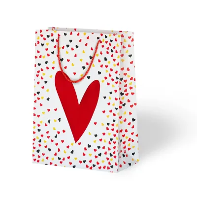 Heart Patterned Cardboard Bag - 1