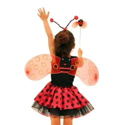 Ladybug Costume Set - 1