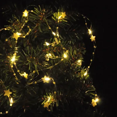 LED Christmas Lights - Star - 2