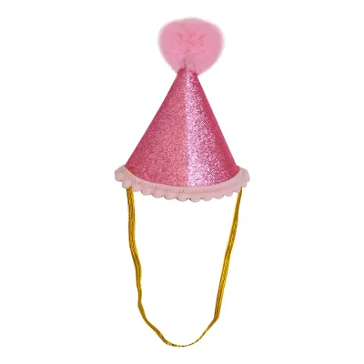 Mini Party Hat - 1