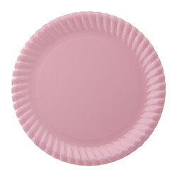 Pink Paper Plates - 1