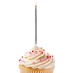 Retro Birthday Candles - Silver - 1