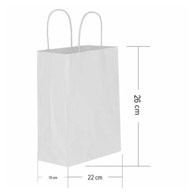 White Paper Bags with Twisted Handles - 22x26cm - 2