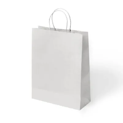 White Paper Bags with Twisted Handles - 22x26cm - 1